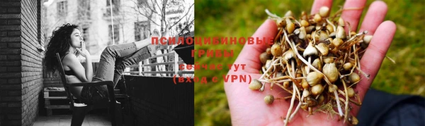 Альфа ПВП Алзамай