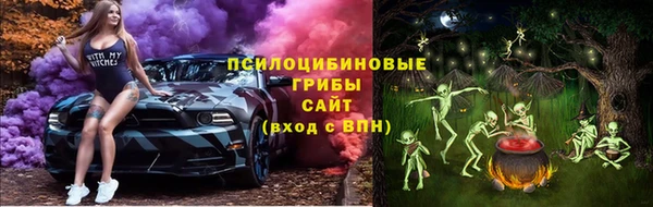 Альфа ПВП Алзамай
