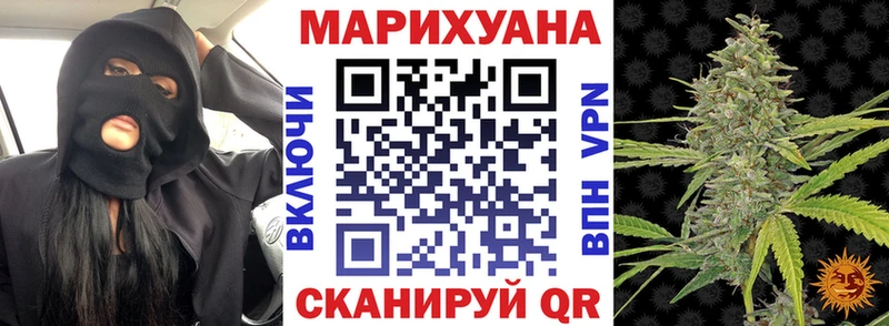 Бошки марихуана AK-47  закладка  Южно-Сухокумск 